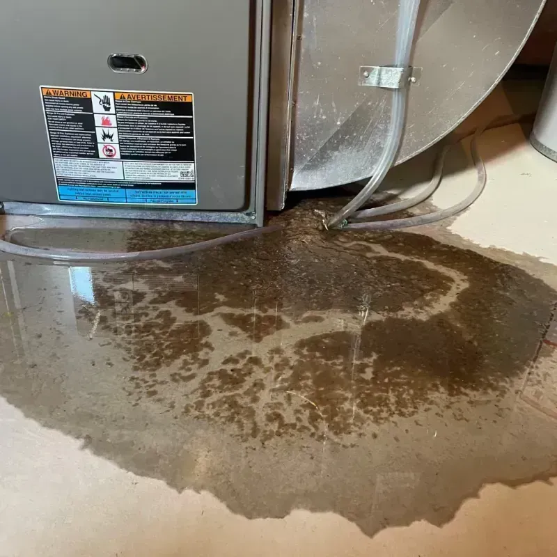 Appliance Leak Cleanup in Clarendon County, SC